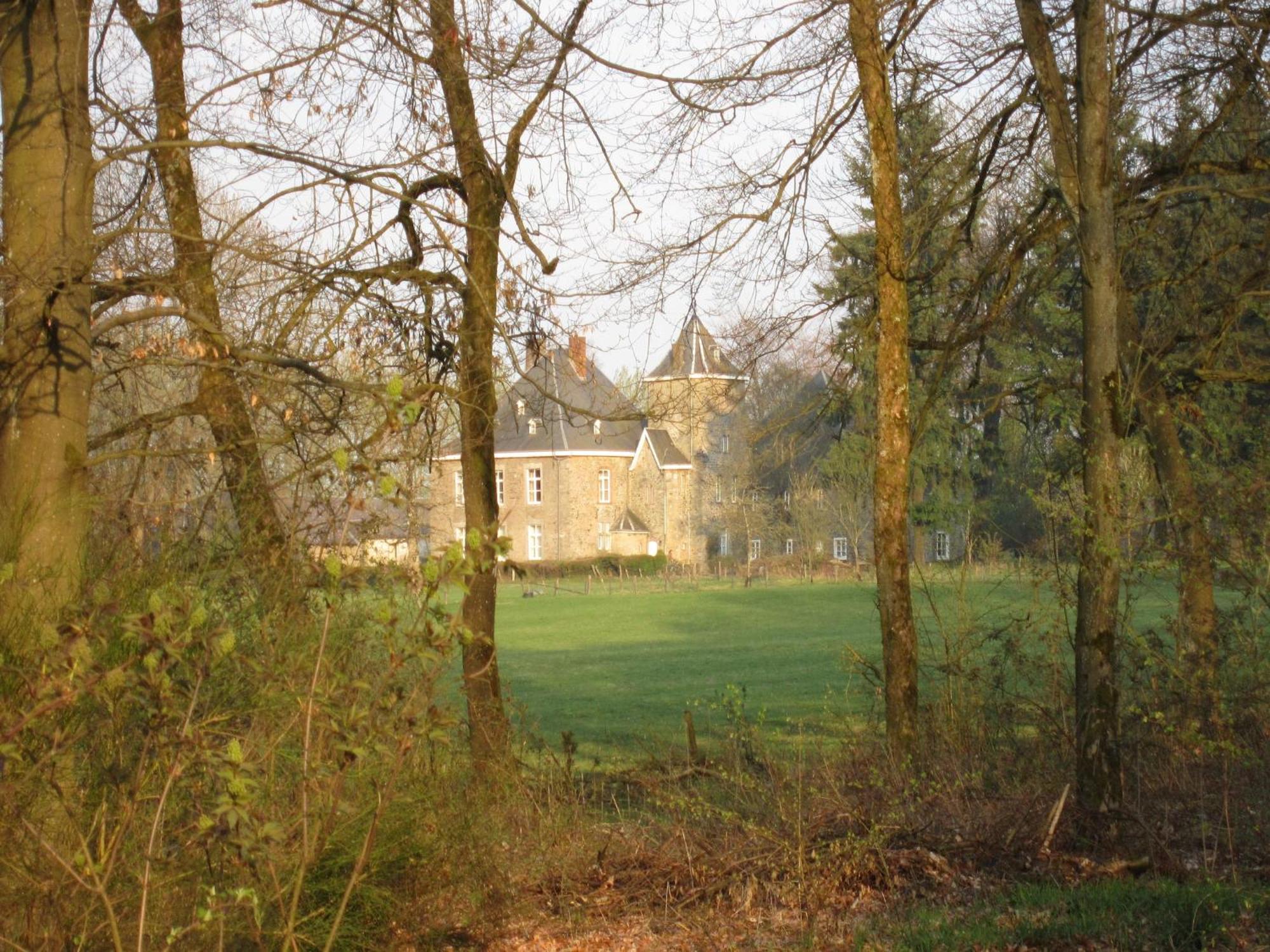 Delightful Castle In Bastogne With Bubble Bathヴィラ エクステリア 写真